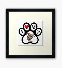 I Love My Pit Bull! Framed Print