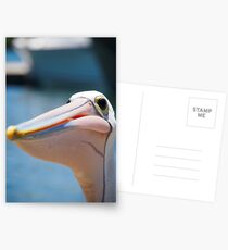 Pelican Postcards