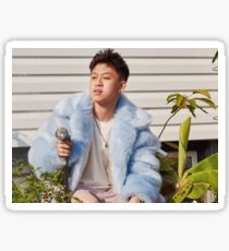 RICH CHIGGA- WATER THESE HOES Sticker