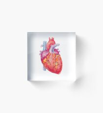polygonal human heart illustration Acrylic Block