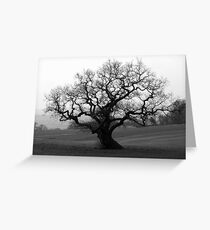TREE Greeting Card