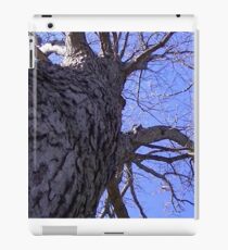 Windy Day - The Blue & The Green 009 iPad Case/Skin