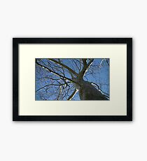 Windy Day - The Blue & The Green 035 Framed Print