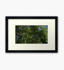 Windy Day - The Blue & The Green 036 Framed Print