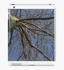 Windy Day - The Blue & The Green 037 iPad Case/Skin