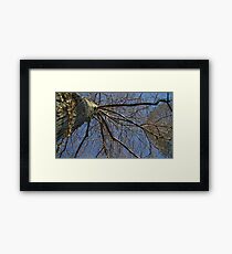 Windy Day - The Blue & The Green 037 Framed Print