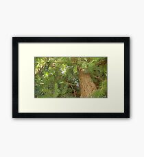 Windy Day - The Blue & The Green 039 Framed Print