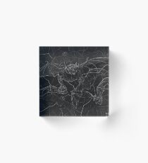 Bat Attack Acrylic Block