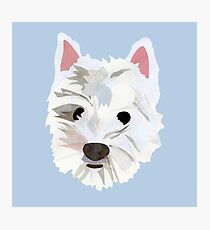 Max the Westie Photographic Print