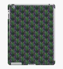 Allegro iPad Case/Skin