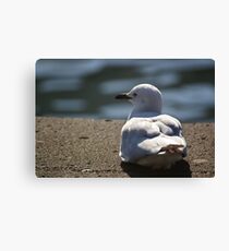 Mine? Canvas Print