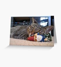 Gnome and kitty cuddle Greeting Card