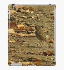 Nightingale iPad Case/Skin
