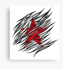 the winter soldier Canvas Print