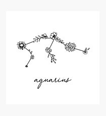 Aquarius Zodiac Wildflower Constellation Photographic Print