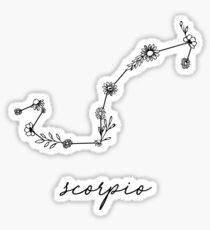 Scorpio Zodiac Wildflower Constellation Sticker