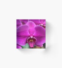 purple orchid Acrylic Block