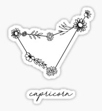 Capricorn Zodiac Wildflower Constellation Sticker