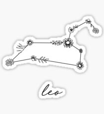 Leo Zodiac Wildflower Constellation Sticker