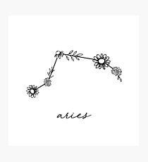 Aries Zodiac Wildflower Constellation Photographic Print
