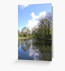 spring pond Greeting Card