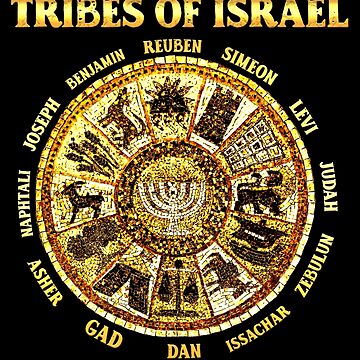 12 Tribes Of Israel Hebrew Israelite Tote Bag - Distressed Flag Design, 16x16 Inches