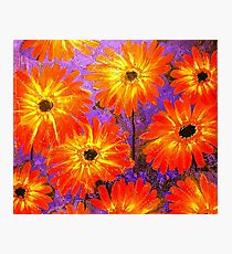 Orange Gerberas Photographic Print