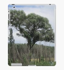 Trees amid bushes iPad Case/Skin