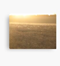 Winter gold Canvas Print