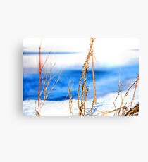 Skeleton Fingers Canvas Print