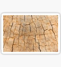Shattered Wooden Log Sticker