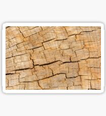 Shattered Wooden Log - Alternative Sticker