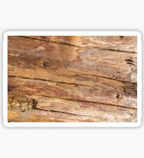 Shattered Wooden Log - Alternative II Sticker