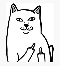 F*ckU Cat - Lord Nermal Photographic Print