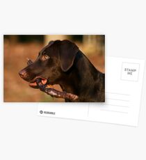 HAPPINESS Postcards