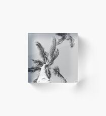 palm awesome Acrylic Block