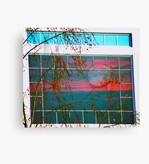 Reflection Canvas Print