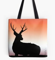 4x5 Tote Bag