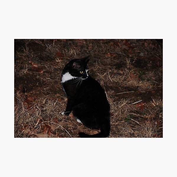 Whats That? Photographic Print