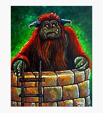 Ludo ( Labyrinth) Photographic Print