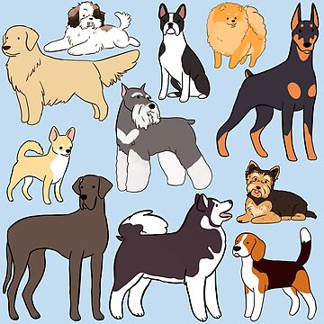 Aperçu des différentes races de chiens