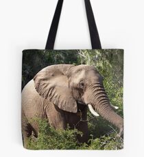 African elephant Tote Bag
