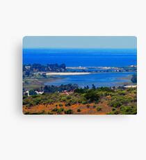 photo painting Canvas Print