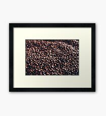 Coffee Beans Of Life Framed Print