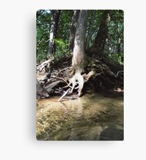 Tree by the water Canvas Print