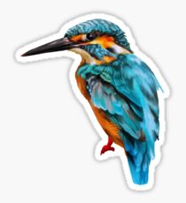 kingfisher painting no background Sticker