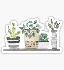 succuelnt 10.0 Sticker