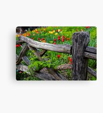 Central Park Shakespeare Garden New York City NY Wooden Fence Canvas Print