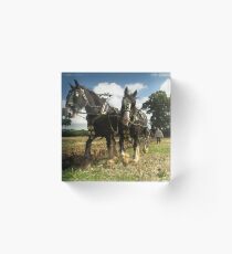Horses Ploughing 2 Acrylic Block