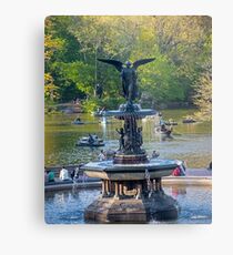 Central Park Water Fountain New York NY Metal Print